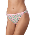Avon Panty Van