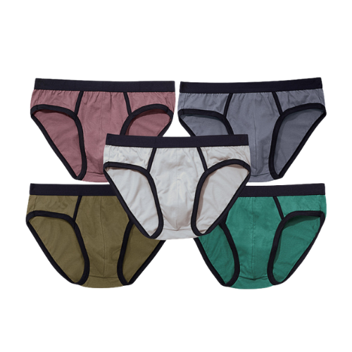 Avon Panty Theo