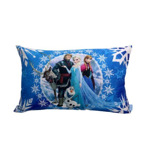 Dakki 18x28 2-In-1 Frozen Crystal Pillow
