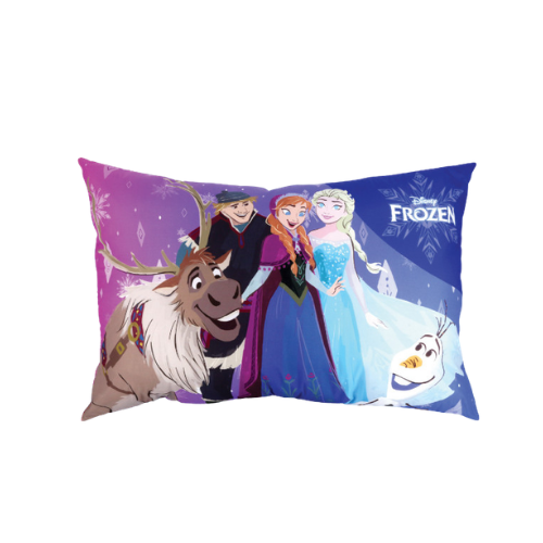 Dakki 20x30 Frozen Family Kg Pillow