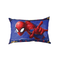 Dakki 20x30 Spidey Zoom Kg Pillow