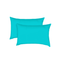 Dakki Pillow 16X16 Turquoise Colored