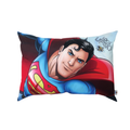 Dakki Pillow 14X20 Superman Sp