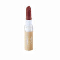 Avon Simply Pretty Coffee House Melted Mocha Colorbliss Lipstick
