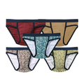 Avon Edward 5-In-1 Hi Cut Panty